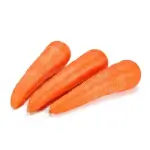 Carrot